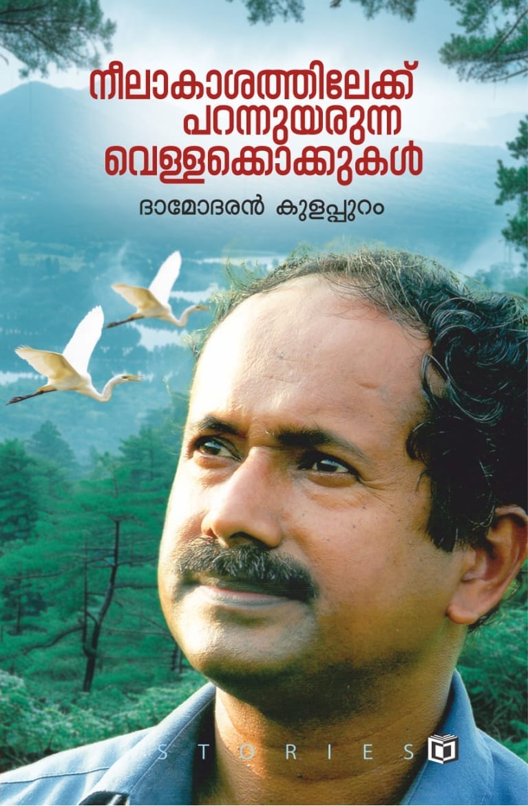 നീലാകാശത്തിലേക്ക് പറന്നുയരുന്ന വെള്ളക്കൊക്കുകൾ